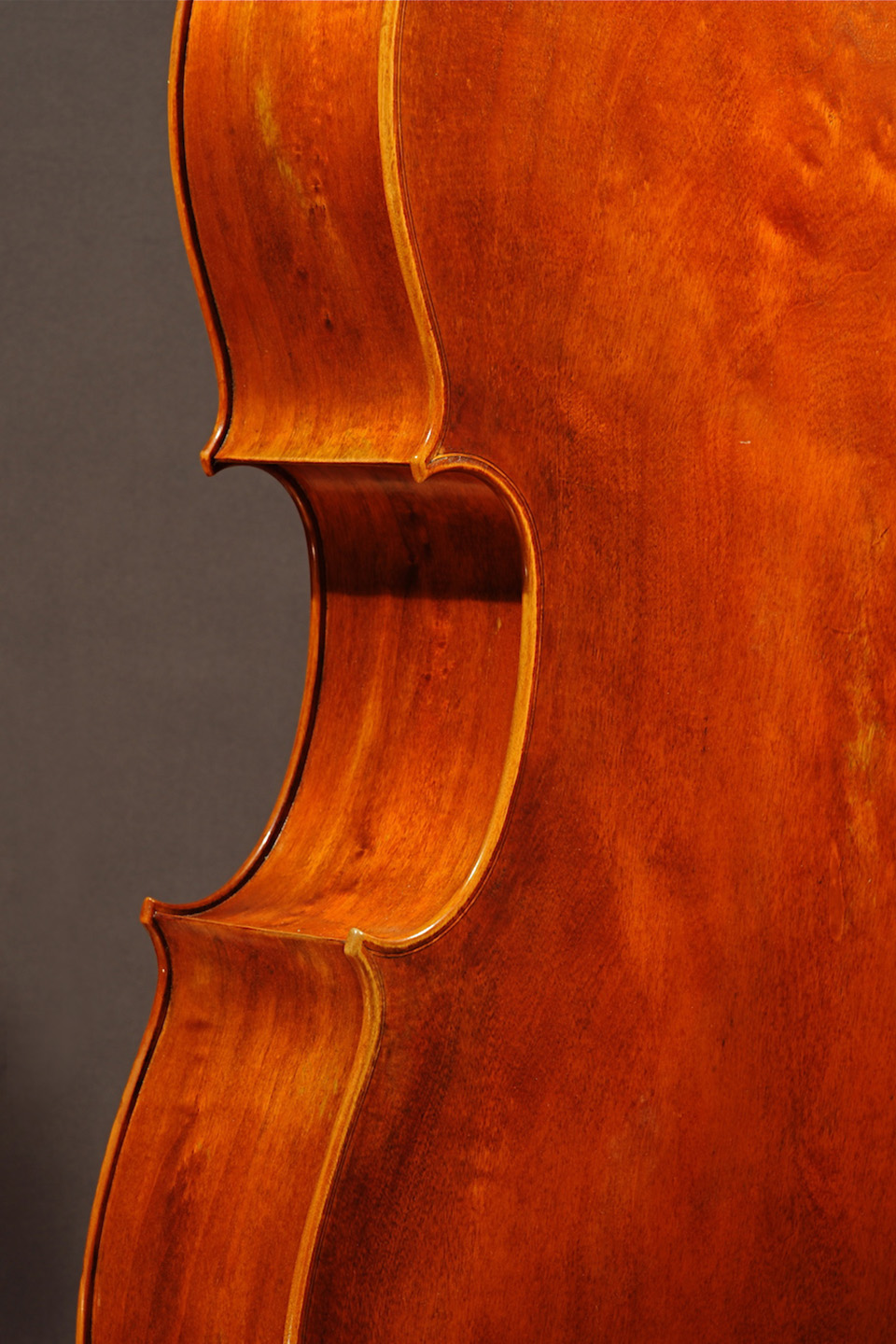 Rabut Cello - Ruggieri Model